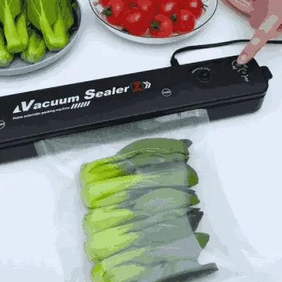 Seladora a Vácuo Portátil