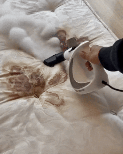 Limpador a Vapor